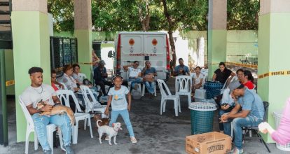 Alcaldía del Distrito Nacional realiza jornada de bienestar para perros y gatos