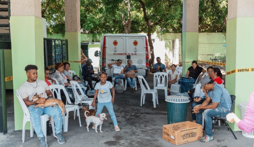 Alcaldía del Distrito Nacional realiza jornada de bienestar para perros y gatos