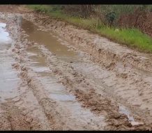 Denuncian podrían perder 135 mil tareas de arroz por mal estado de carretera