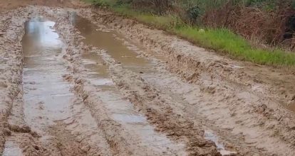 Denuncian podrían perder 135 mil tareas de arroz por mal estado de carretera