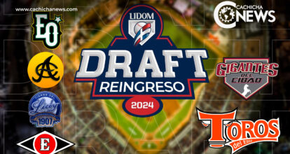 ¿Cómo se reforzaron los equipos en el Draft de reingreso de LIDOM?
