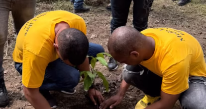 Reclusos continúan labores de reforestación en río Nizao