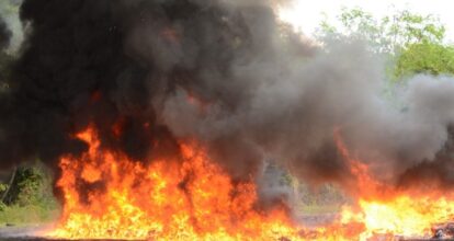 El Inacif incinera 245 kg de drogas decomisadas