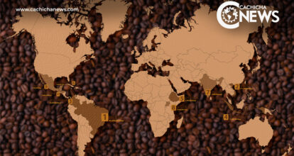 ¿Cuáles son los países que más café consumen?