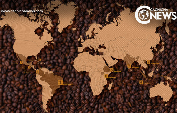 ¿Cuáles son los países que más café consumen?