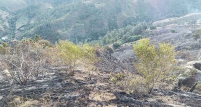 Bomberos controlan incendio en Parque Nacional Valle Nuevo
