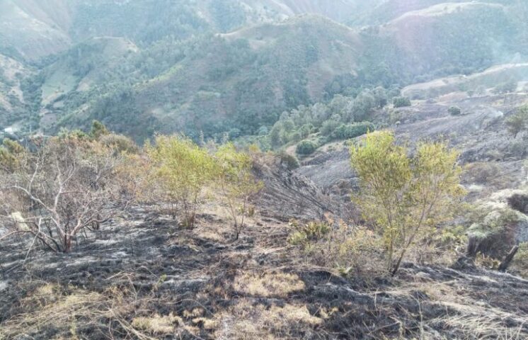 Bomberos controlan incendio en Parque Nacional Valle Nuevo