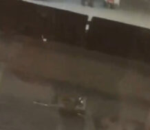 Al menos 30 heridos tras choques de dos trenes en Estrasburgo, Francia 