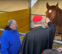 Ganaderos italianos celebran San Antonio Abad en el Vaticano