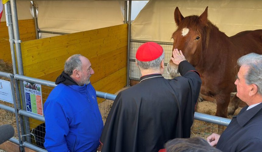 Ganaderos italianos celebran San Antonio Abad en el Vaticano