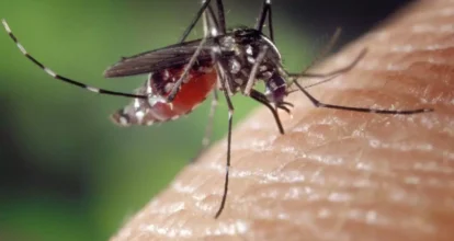 El 2024 cierra con una reducción en los casos de dengue en el país