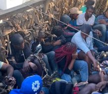 Autoridades detienen a 24 haitianos sin documentos que eran trasladados en un camión