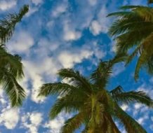 Indomet pronostica nubes dispersas y pocas probabilidades de lluvias en el país