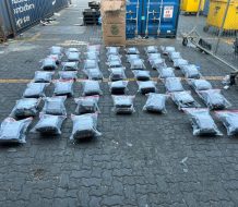Ocupan 95 paquetes de presunta marihuana en Puerto Haina 