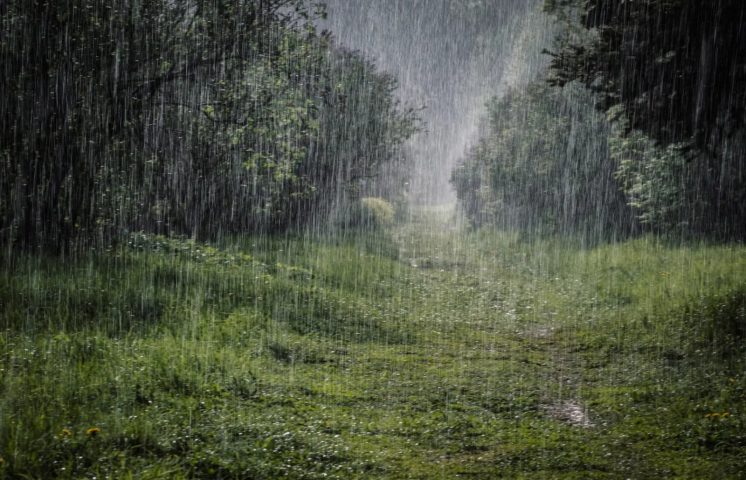 Pronostican ambiente lluvioso para este viernes por incidencia de vaguada