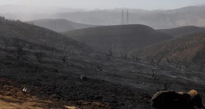 Convivir con los incendios, la nueva realidad de Los Ángeles
