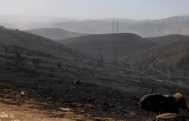 Convivir con los incendios, la nueva realidad de Los Ángeles