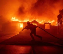 La FAO alerta sobre efectos de incendios catastróficos en Los Ángeles