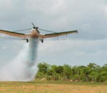 MINERD anuncia convenio para regular fumigaciones en zonas estudiantiles