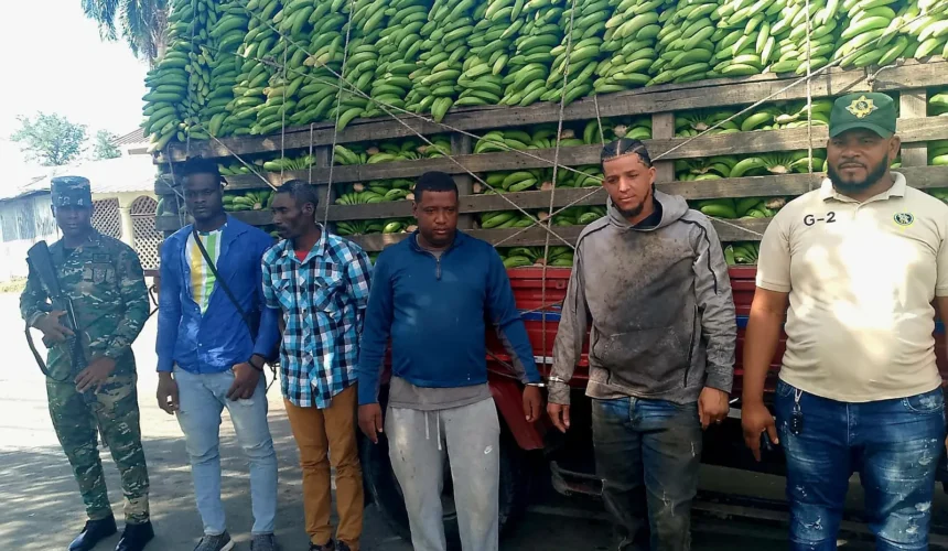 Detienen dos indocumentados ocultos en un camión cargado de guineos en Montecristi