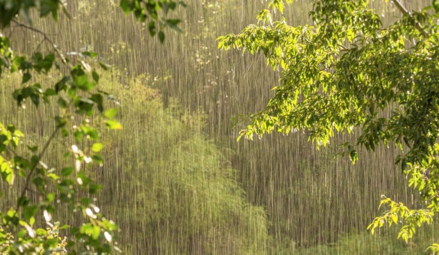 Viento del noreste provocará chubascos en litoral atlántico y centro del país