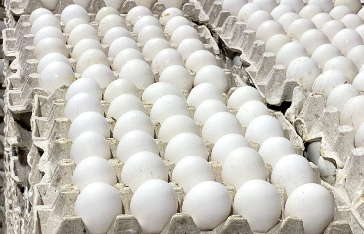El precio del huevo se dispara en EE.UU. en medio de la crisis por la gripe aviar