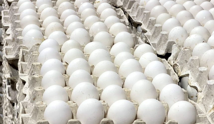El precio del huevo se dispara en EE.UU. en medio de la crisis por la gripe aviar