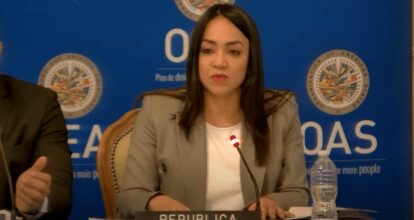 Faride Raful: “En RD hay 243, 785 armas de fuego en manos de civiles”