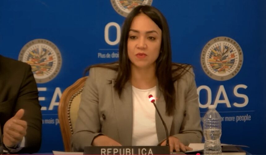 Faride Raful: “En RD hay 243, 785 armas de fuego en manos de civiles”