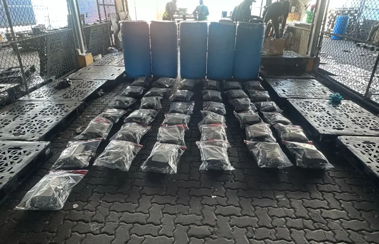 Desmantelan 73 paquetes de marihuana en puerto de Haina