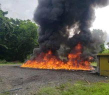 Más de 360 kilos de drogas son incinerados por Inacif