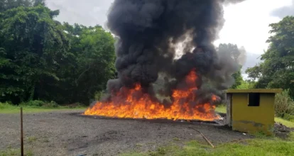 Más de 360 kilos de drogas son incinerados por Inacif