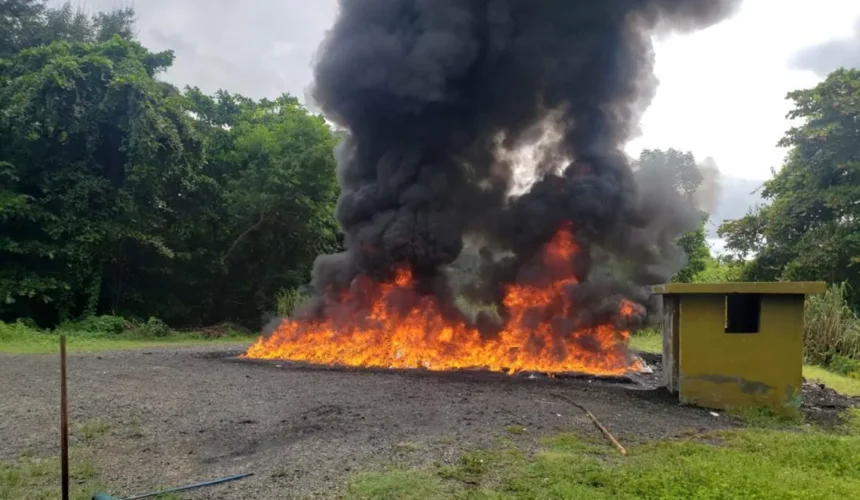 Más de 360 kilos de drogas son incinerados por Inacif