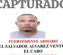 Policía captura al “El Cabo o Rey del Micro Vegano” supuesto delincuente