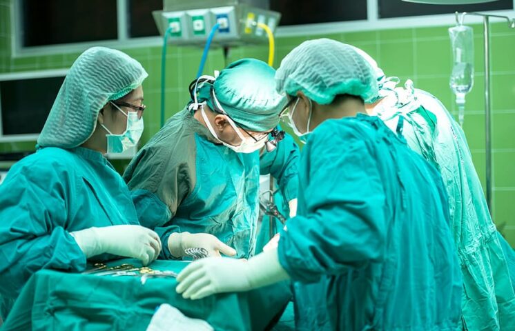 Cirujanos chinos implantan un hígado de cerdo en un humano por primera vez 