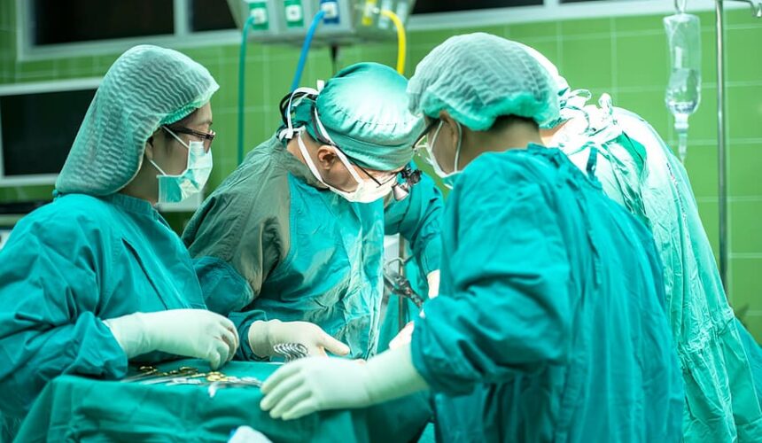 Cirujanos chinos implantan un hígado de cerdo en un humano por primera vez 