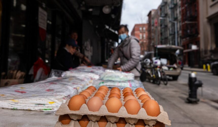 En Nueva York se venden los huevos por unidad tras incremento en su precio