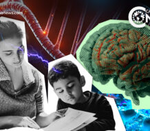 Al Menos el 70 % de la inteligencia se hereda de las madres, según estudios 