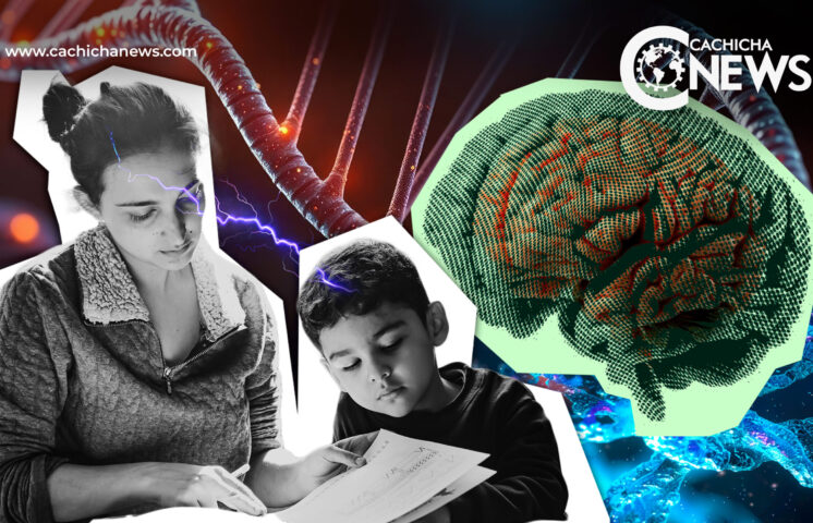 Al Menos el 70 % de la inteligencia se hereda de las madres, según estudios 
