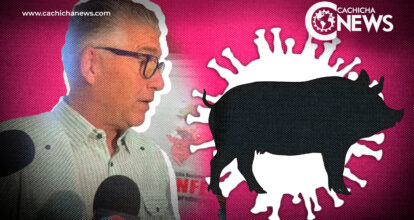 Fiebre porcina no afecta a los humanos; el consumo de carne de cerdo es seguro