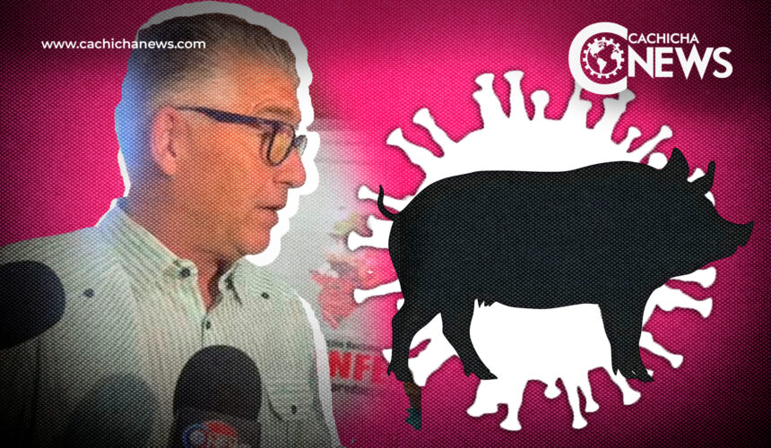 Fiebre porcina no afecta a los humanos; el consumo de carne de cerdo es seguro