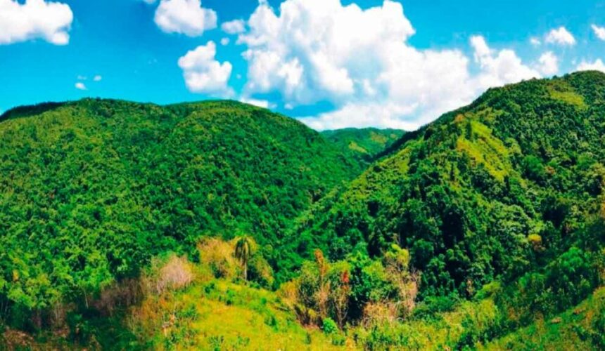 Senado aprueba proyecto de ley que declara a Loma Miranda como Parque Nacional