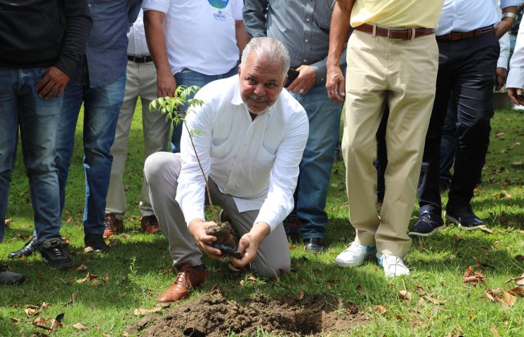 Siembran 800 árboles en Jarabacoa para proteger ríos y fomentar el turismo