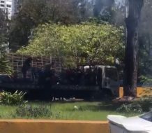 Ciudadanos incendian grúa de la Digesett en reclamo por supuestos abusos