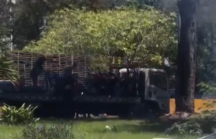 Ciudadanos incendian grúa de la Digesett en reclamo por supuestos abusos