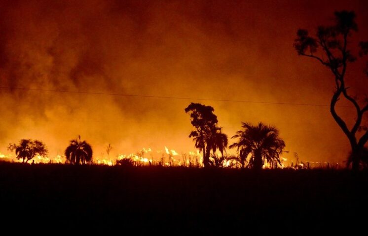 Después de más de 24 horas, logran extinguir incendio en San Pedro 
