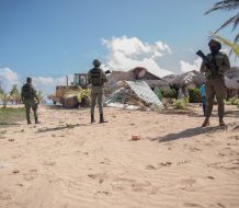 Medio Ambiente ejecuta operativo de rescate en playa Palmera, Uvero Alto