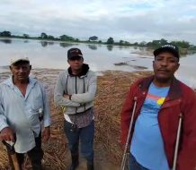 Desbordamiento del río Masacre afecta producción de arroz en Dajabón