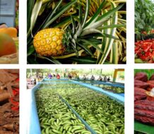 Estos son productos dominicanos que se verán afectados por aranceles de Trump