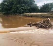Encuentran cadáver en el río Masacre; autoridades investigan